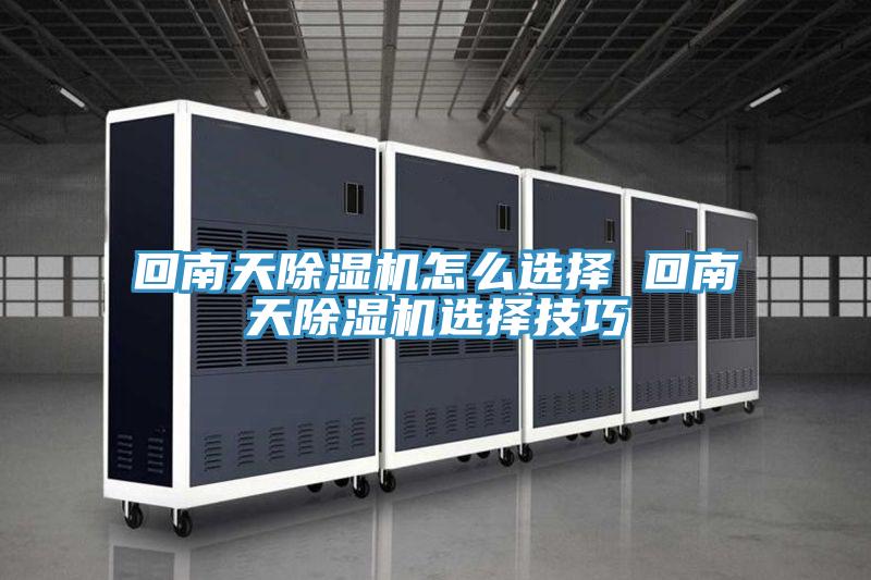 回南天MR.好色破解版怎么选择 回南天MR.好色破解版选择技巧
