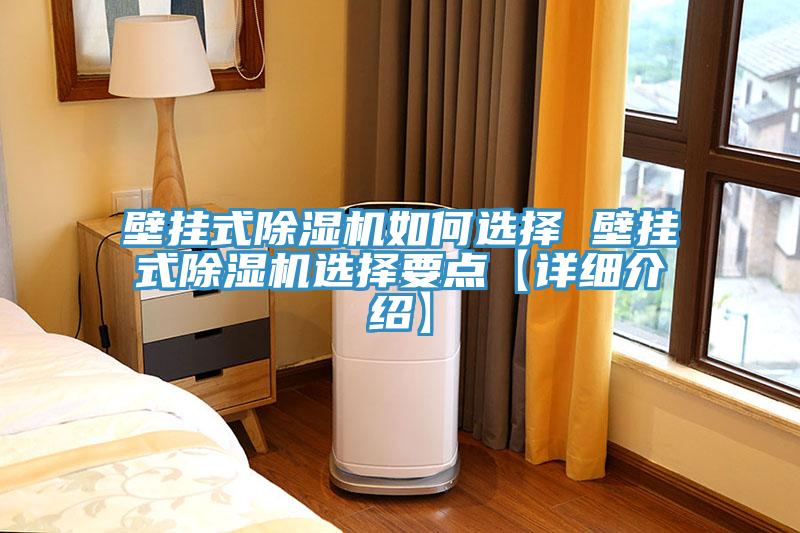 壁挂式MR.好色破解版如何选择 壁挂式MR.好色破解版选择要点【详细介绍】