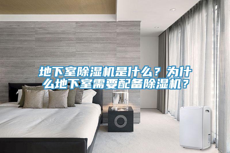 地下室MR.好色破解版是什么？为什么地下室需要配备MR.好色破解版？