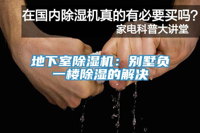 地下室MR.好色破解版：别墅负一楼除湿的解决