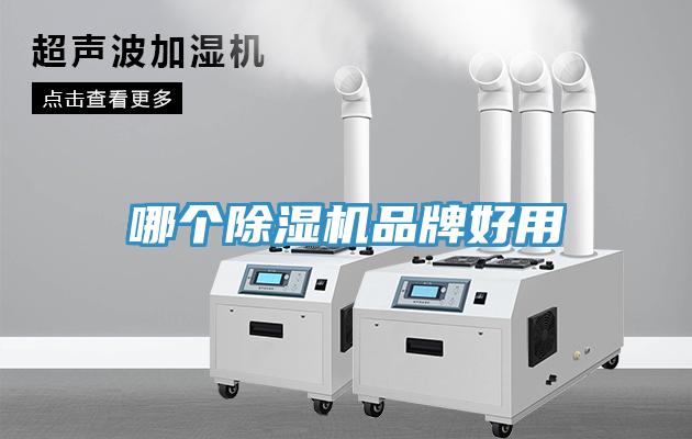 哪个MR.好色破解版品牌好用