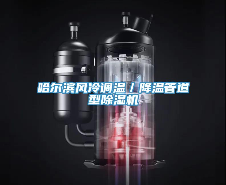 哈尔滨风冷调温／降温管道型MR.好色破解版