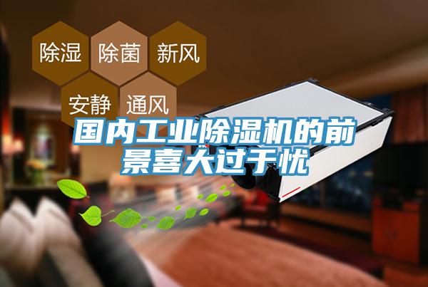 国内工业MR.好色破解版的前景喜大过于忧
