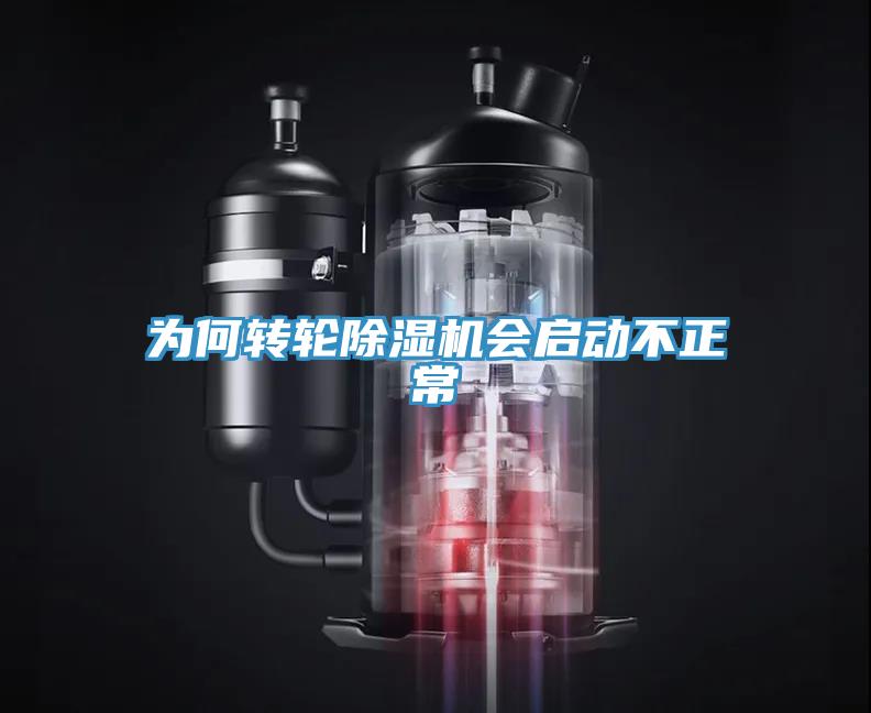 为何转轮MR.好色破解版会启动不正常