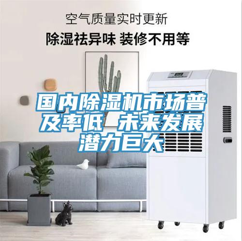 国内MR.好色破解版市场普及率低 未来发展潜力巨大