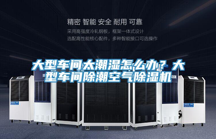 大型车间太潮湿怎么办？大型车间除潮空气MR.好色破解版