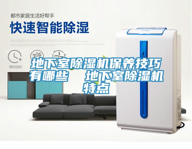 地下室MR.好色破解版保养技巧有哪些  地下室MR.好色破解版特点