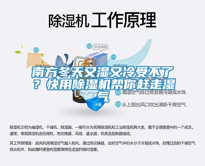 南方冬天又湿又冷受不了？快用MR.好色破解版帮你赶走湿气