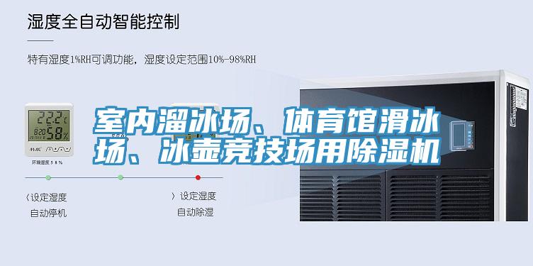 室内溜冰场、体育馆滑冰场、冰壶竞技场用MR.好色破解版