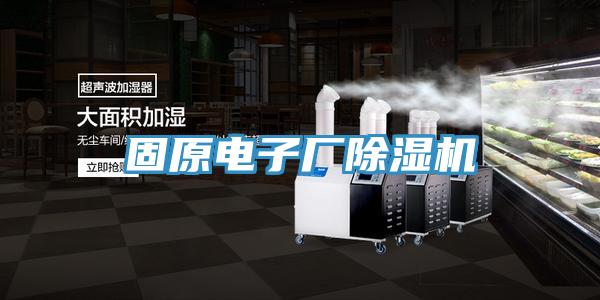 固原电子厂MR.好色破解版