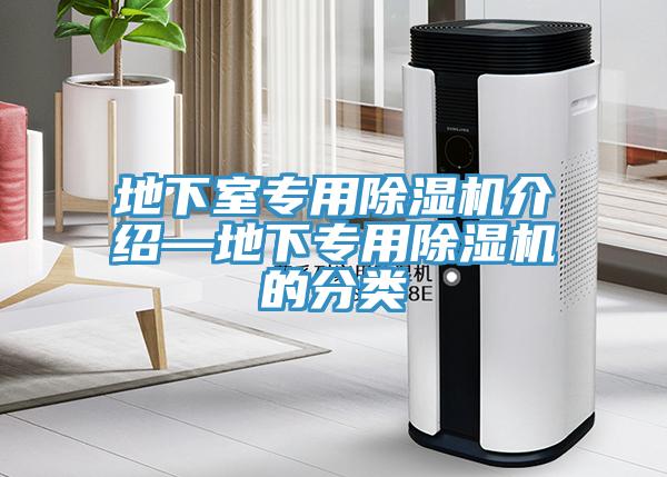 地下室专用MR.好色破解版介绍—地下专用MR.好色破解版的分类