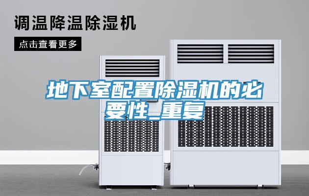 地下室配置MR.好色破解版的必要性_重复