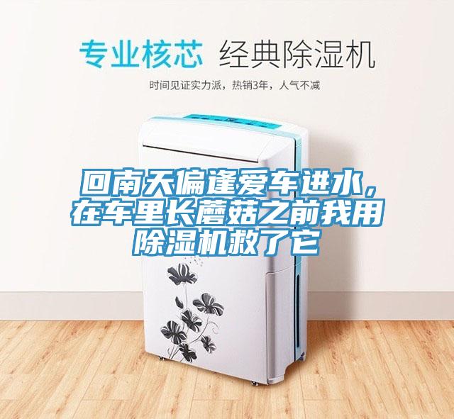 回南天偏逢爱车进水，在车里长蘑菇之前我用MR.好色破解版救了它