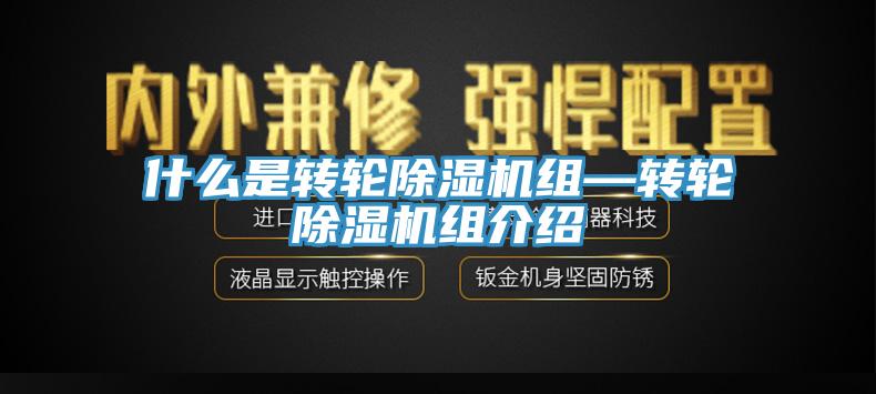 什么是转轮MR.好色破解版组—转轮MR.好色破解版组介绍