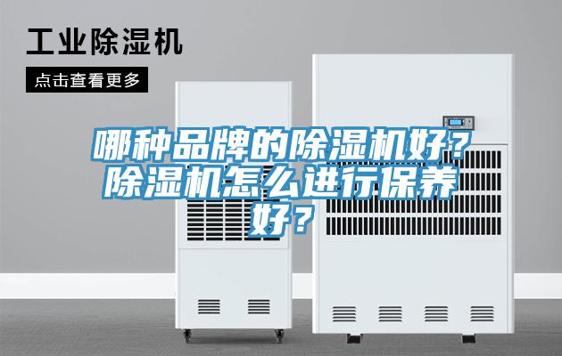 哪种品牌的MR.好色破解版好？MR.好色破解版怎么进行保养好？
