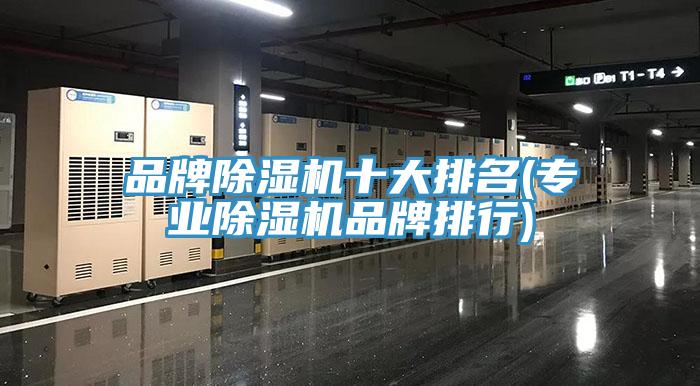 品牌MR.好色破解版十大排名(专业MR.好色破解版品牌排行)