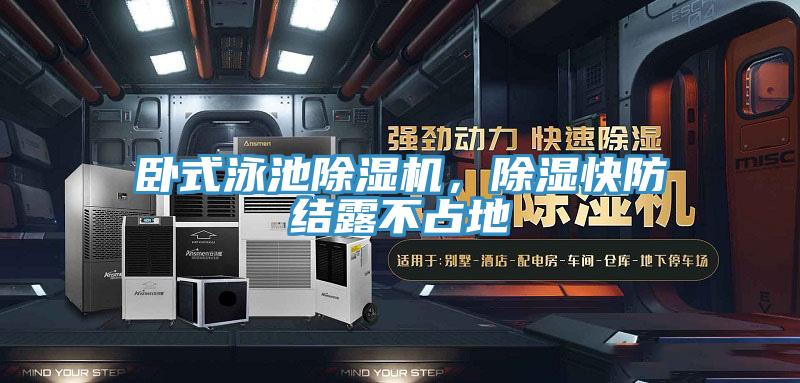 卧式泳池MR.好色破解版，除湿快防结露不占地