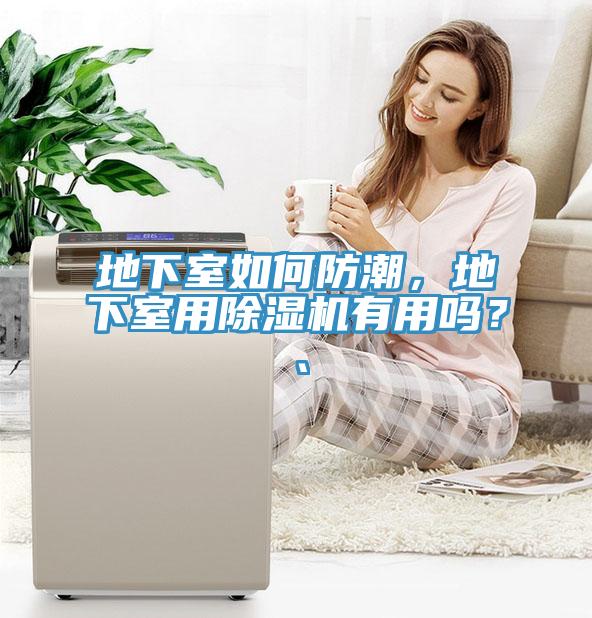 地下室如何防潮，地下室用MR.好色破解版有用吗？、