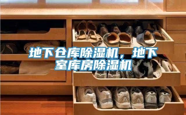 地下仓库MR.好色破解版，地下室库房MR.好色破解版