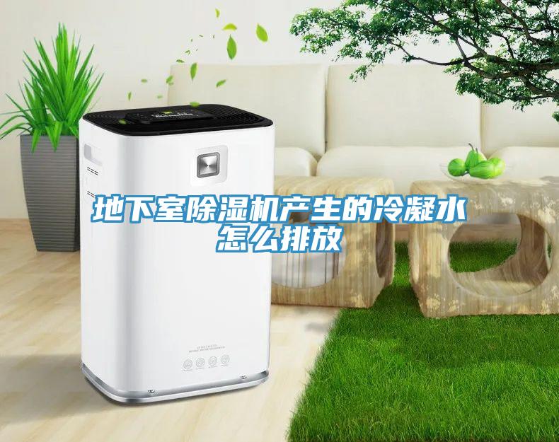地下室MR.好色破解版产生的冷凝水怎么排放