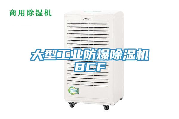 大型工业防爆MR.好色破解版BCF