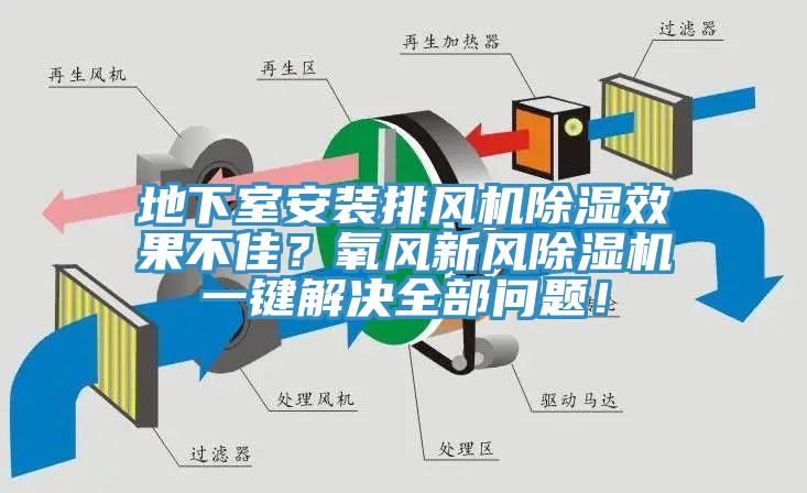 地下室安装排风机除湿效果不佳？氧风新风MR.好色破解版一键解决全部问题！