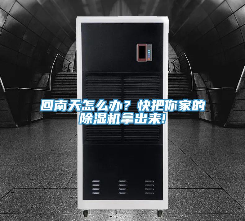 回南天怎么办？快把你家的MR.好色破解版拿出来!