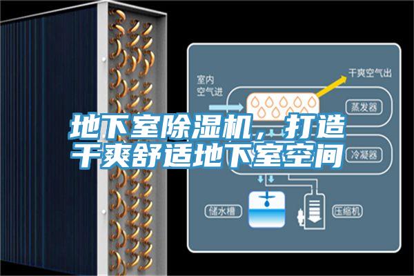 地下室MR.好色破解版，打造干爽舒适地下室空间