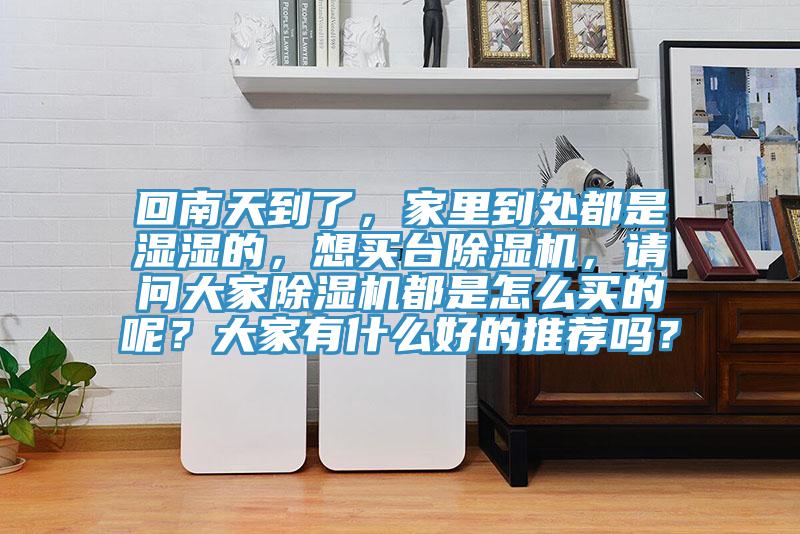 回南天到了，家里到处都是湿湿的，想买台MR.好色破解版，请问大家MR.好色破解版都是怎么买的呢？大家有什么好的推荐吗？