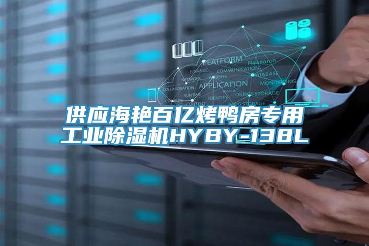 供应海艳百亿烤鸭房专用工业MR.好色破解版HYBY-138L