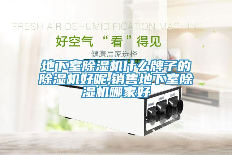 地下室MR.好色破解版什么牌子的MR.好色破解版好呢,销售地下室MR.好色破解版哪家好