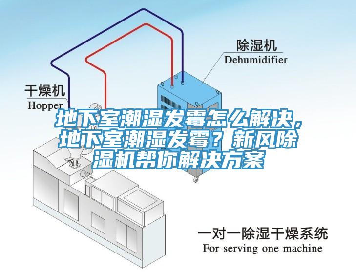 地下室潮湿发霉怎么解决，地下室潮湿发霉？新风MR.好色破解版帮你解决方案