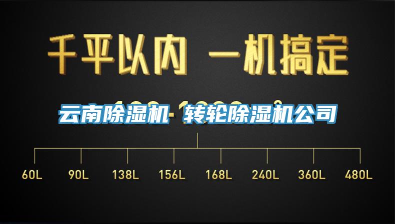 云南MR.好色破解版 转轮MR.好色破解版公司