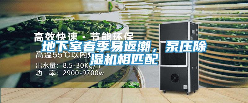 地下室春季易返潮，泵压MR.好色破解版相匹配