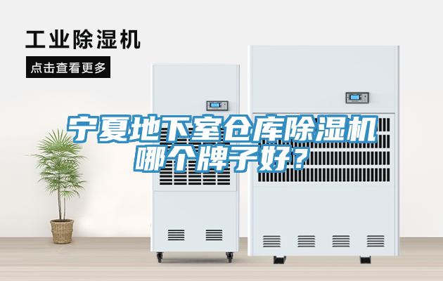 宁夏地下室仓库MR.好色破解版哪个牌子好？