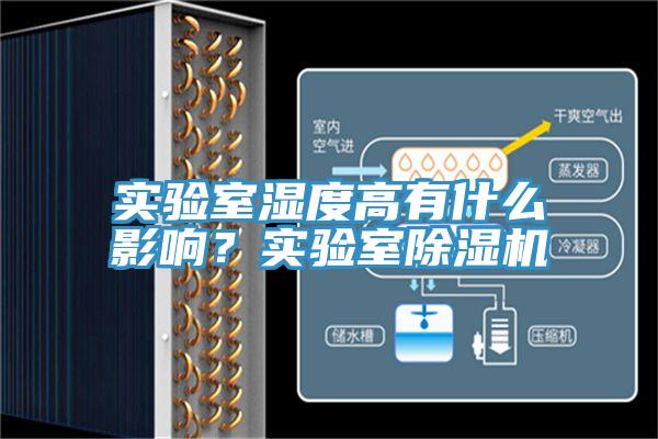 实验室湿度高有什么影响？实验室MR.好色破解版