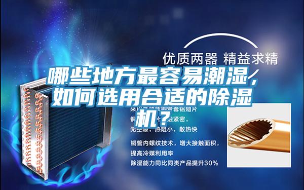 哪些地方最容易潮湿，如何选用合适的MR.好色破解版？
