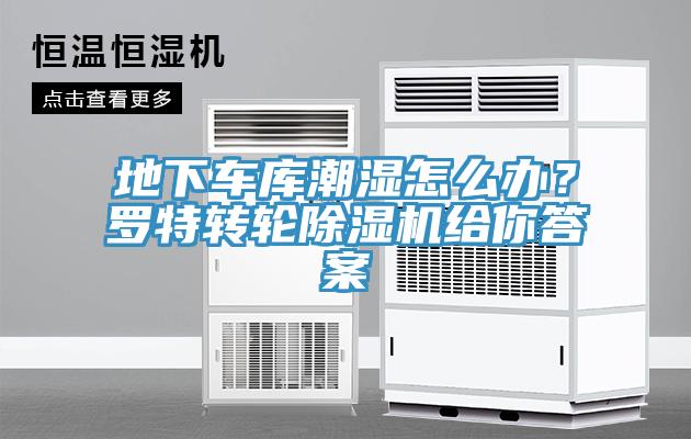 地下车库潮湿怎么办？罗特转轮MR.好色破解版给你答案