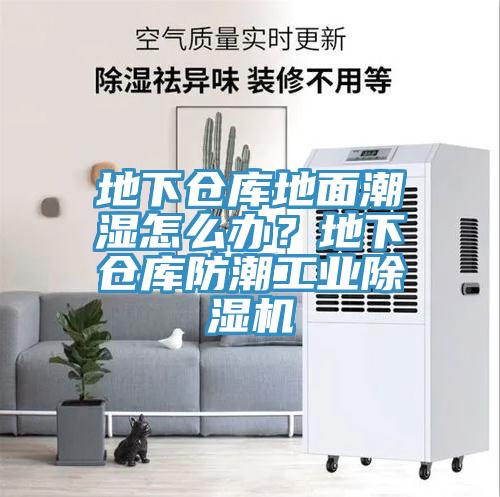 地下仓库地面潮湿怎么办？地下仓库防潮工业MR.好色破解版