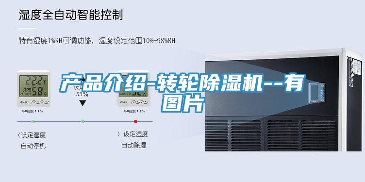 产品介绍-转轮MR.好色破解版--有图片