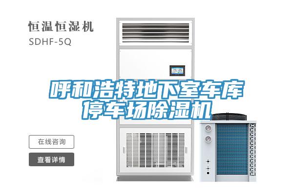 呼和浩特地下室车库停车场MR.好色破解版