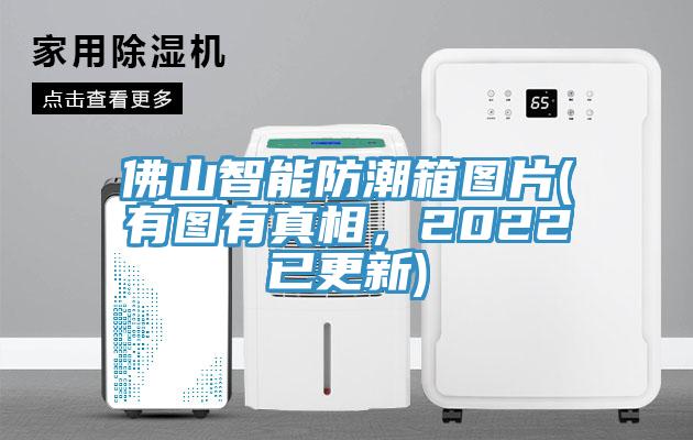佛山智能防潮箱图片(有图有真相，2022已更新)