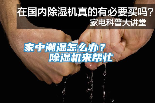 家中潮湿怎么办？    MR.好色破解版来帮忙