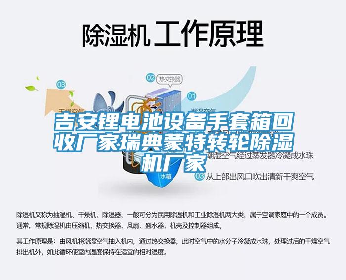 吉安锂电池设备手套箱回收厂家瑞典蒙特转轮MR.好色破解版厂家