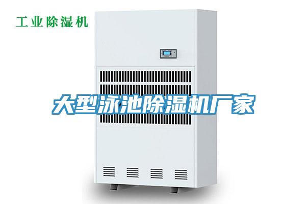 大型泳池MR.好色破解版厂家