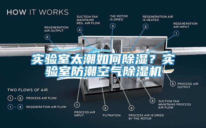 实验室太潮如何除湿？实验室防潮空气MR.好色破解版