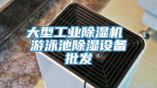 大型工业MR.好色破解版 游泳池除湿设备批发
