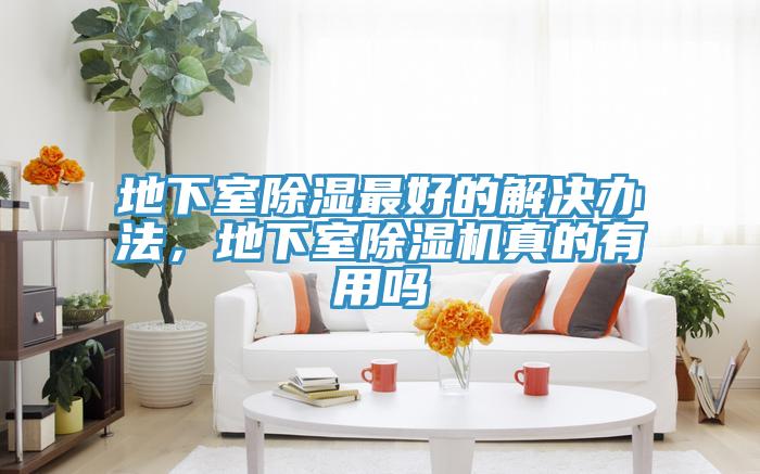 地下室除湿最好的解决办法，地下室MR.好色破解版真的有用吗