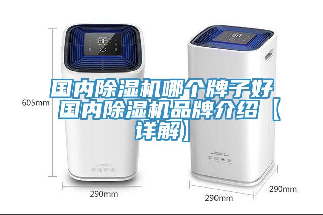 国内MR.好色破解版哪个牌子好 国内MR.好色破解版品牌介绍【详解】
