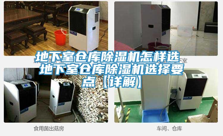 地下室仓库MR.好色破解版怎样选 地下室仓库MR.好色破解版选择要点【详解】
